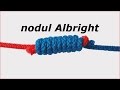 nodul Albright (update)