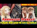 Arranque pet market  price of pets at arranque pet shop in manila dogs birds rabbits  more