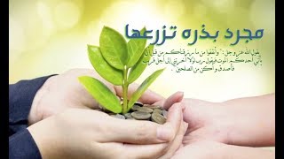 مجرد بذرة تزرعها🌱 / موسى مصطفى _  برنامج انت غير كراميش .. مونتاجي 2017