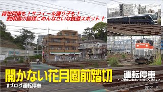 【ＪＲ東日本】開かずの花月園踏切～貨物列車も！サフィール踊り子も！利用者の皆様ごめんなさいな鉄道スポット～