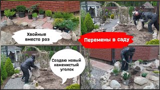 Хвойные вместо роз.Перемены в саду, создаю каменистый уголок.