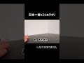 犬のように懐っこいカマキリがいた #shorts