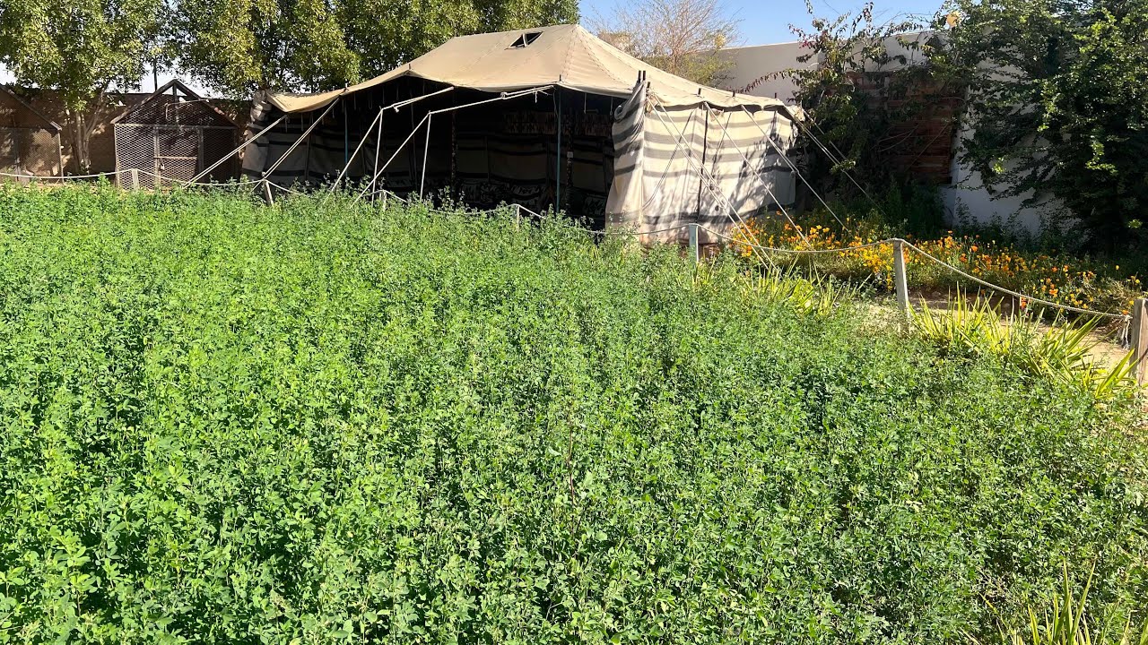 زيارة شركة اساس مكين لمطعم ومزرعة ريف النفل الخرج 🌹🌴