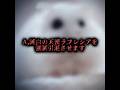 純白の天使ラフレシアを強制引退させます#ラフレシア #荒らし #クラスティック