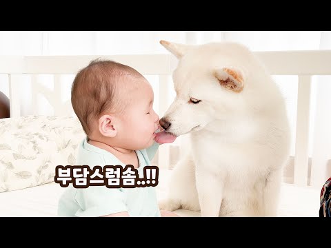 <strong>여우야</strong> 그러면 안돼! ㅋㅋㅋ