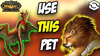 WHAT PET Should YOU USE? The BEST Hunter Pet in SoD