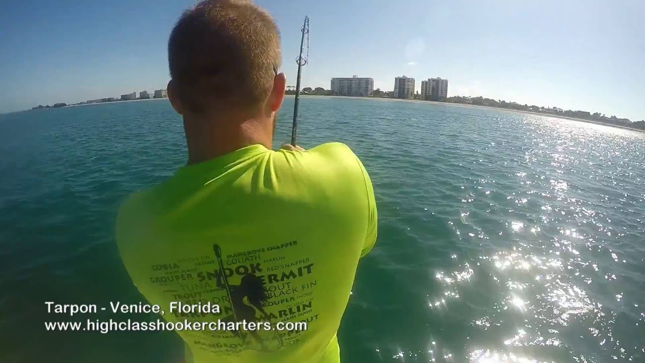 Fishing Charters In Venice, Florida Tarpon YouTube