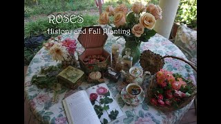 ROSE History/ Planting Roses in the Autumn
