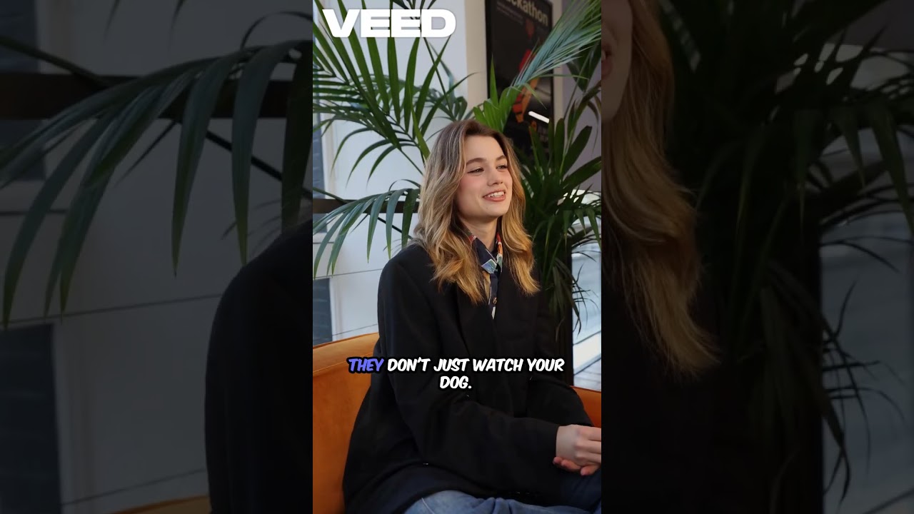 Dog Sitting Game Changer (commercial)