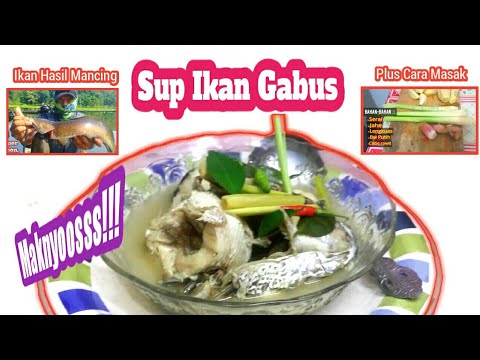 Sup Ikan Gabus