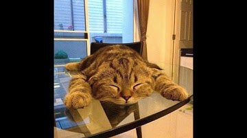 windows 10k speed 70% np 96.54%