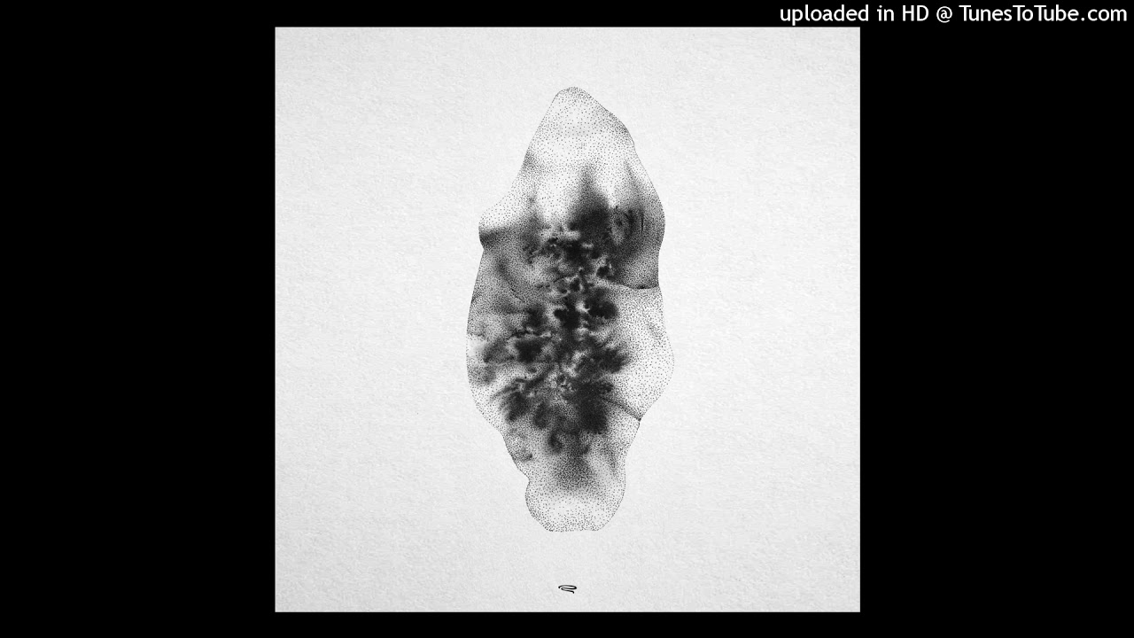 ℘ཞɛɱıɛཞɛ ≈ Coral Club - Follow The Dragonfly [Serenades]