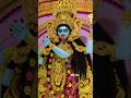 Maa🥰🙏 #maakali #joymaakali #spirituality #peace #kalipuja #kalimaa #kalimata #kali #shorts #trending