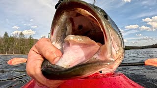 My Biggest Bass in YEARS 