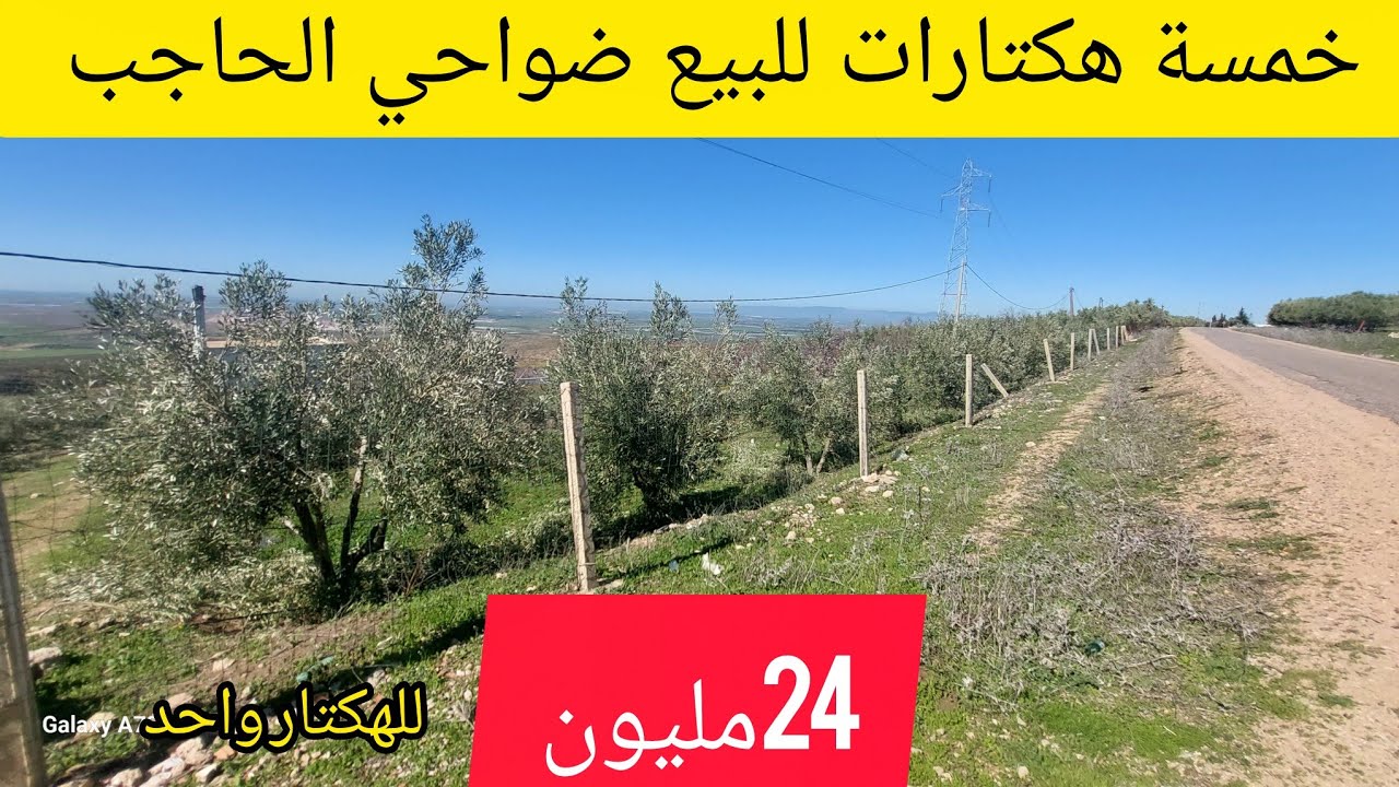 23 février 2026💯خمسة👌 هكتارات للبيع قرب الحاجب فيها✅️🔥 جميع أنواع الأشجار للمزيد تواصل معنا 💥