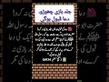 🌺 Dua Ki Qubooliyat Mein Jaldi Mat Karo | Hadees e Nabvi ﷺ #shorts #shortsfeed #shortvideo