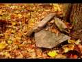 Video Along ethereal levels Autumn