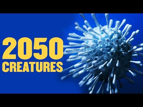Creature Marine del 2050: Saranno di Plastica?