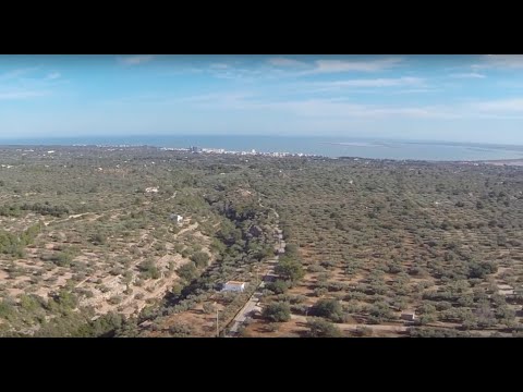 Video: Terassenförmig angelegtes Girona-Haus mit einem Kaskadenentwurf und mutigen gelben Akzenten