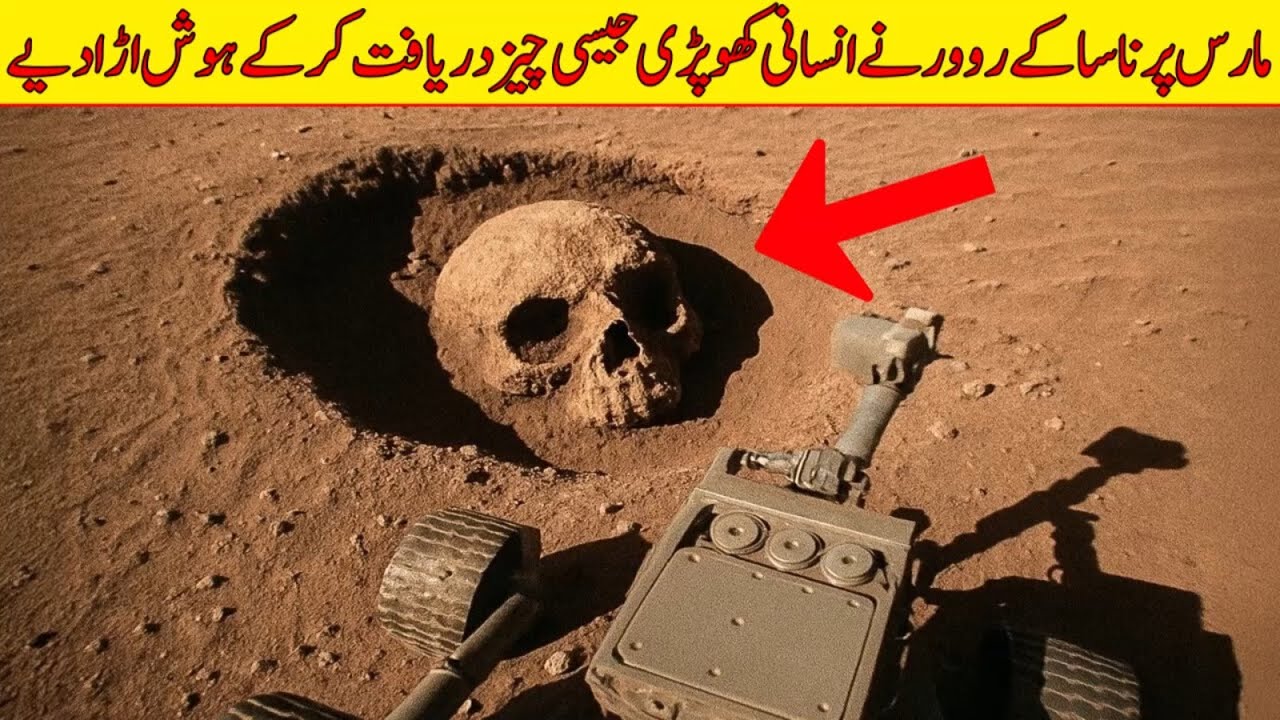 Mars Rover Skull Nasa's Perseverance Rover Found Human Skull Like Strange Object on Mars ...