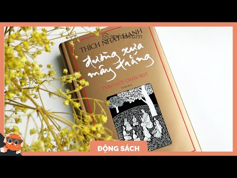 Video CẢM NHẬN về 