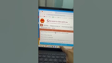 Trích lục khai sinh online