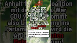 Die CDU ist einfach dämlich #shorts #shortsfeed #shortvideo #afd #politik #deutsch #foryou #fyp #cdu