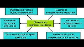 картинка: 2 №12.2. БЕТА-АДРЕНОМИМЕТИКИ