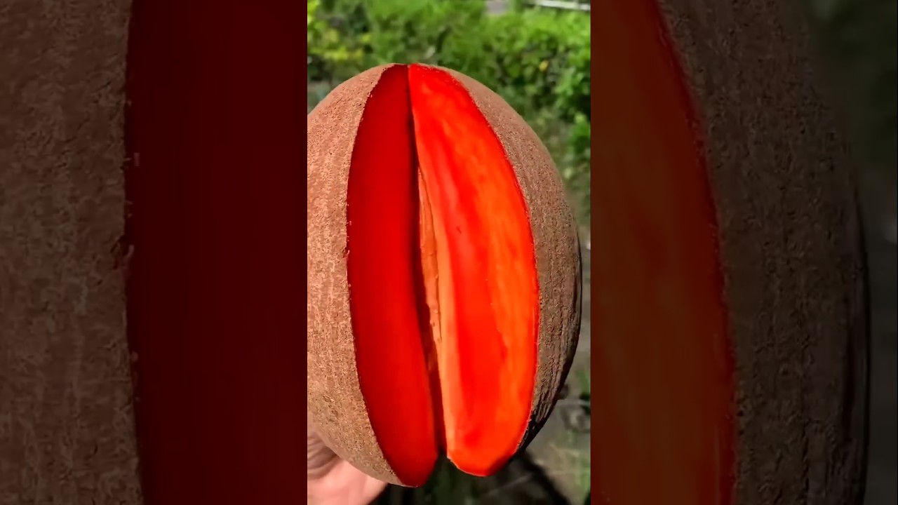 Fresh fruit 🍑🤤🍋😍 