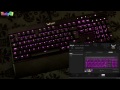 Beginning of video