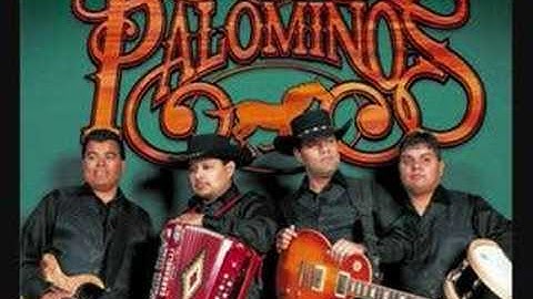 Los Palominos-Poreso Te Amo-