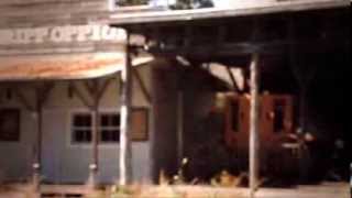Tommy Guerrero "The Last Stand" MV