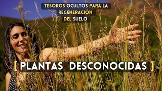 Las plantas 🌱 que están cambiando el mundo