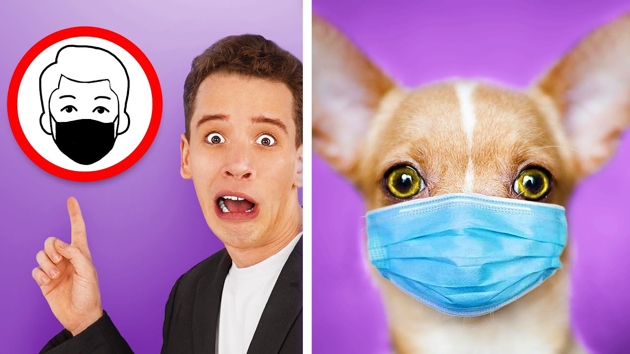 sieu thi thu cung Update New 15 Cách Lẻn Đưa Thú Cưng Vào Siêu Thị! Phần 2