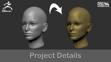 Zbrush - Project Details using a macro