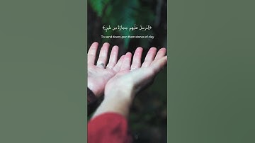تلاوة جميلة بصوت سعود الشريم #تلاوة_خاشعة #سعود_الشريم #قرآن