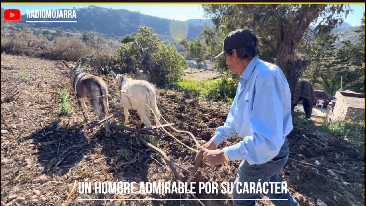 Como Francisco dejó el vicio .. con una Yerba