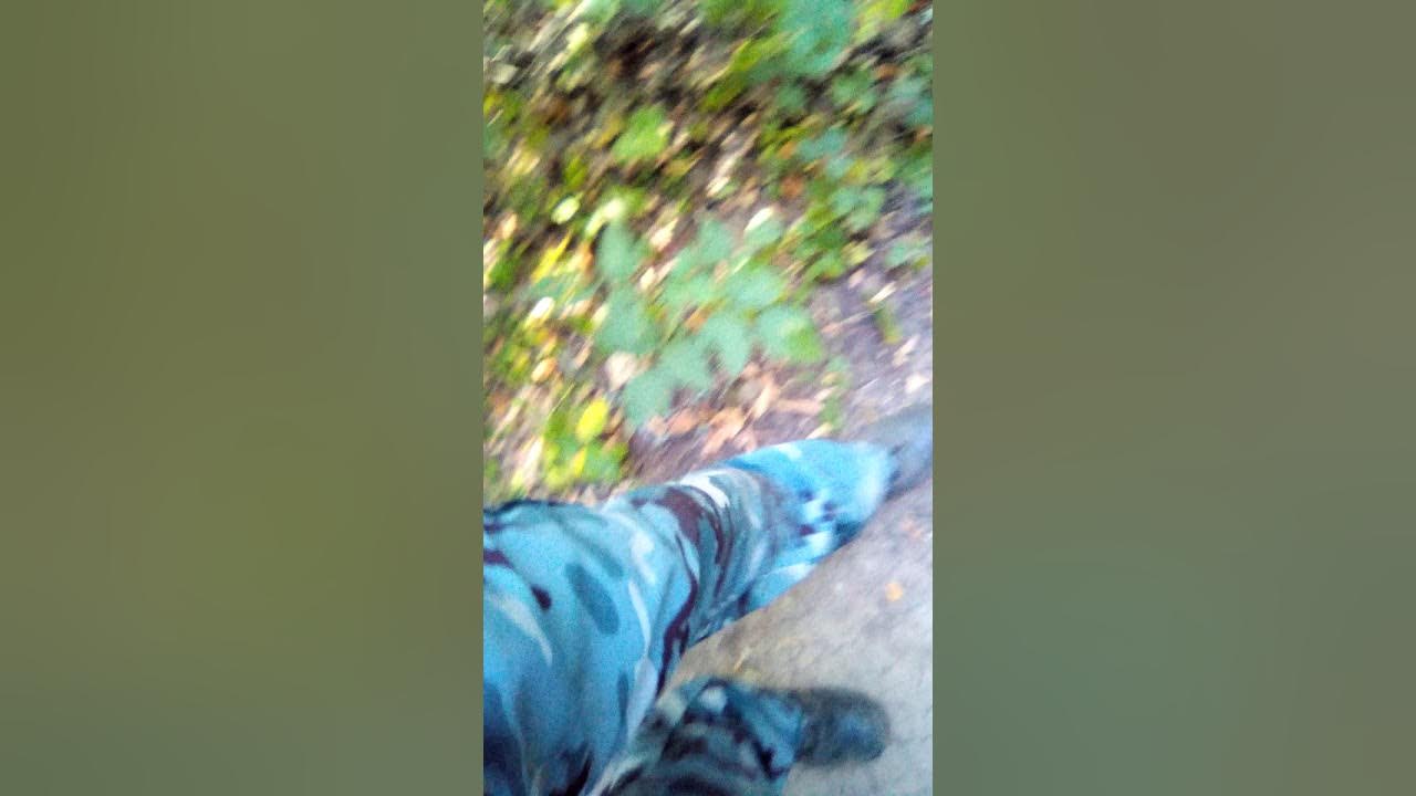 Вася ложкин утро в сосновом лесу. Вася в лесу. Поиски в лесу. Аватарка дровосек. Картины василия ложкина медведь.