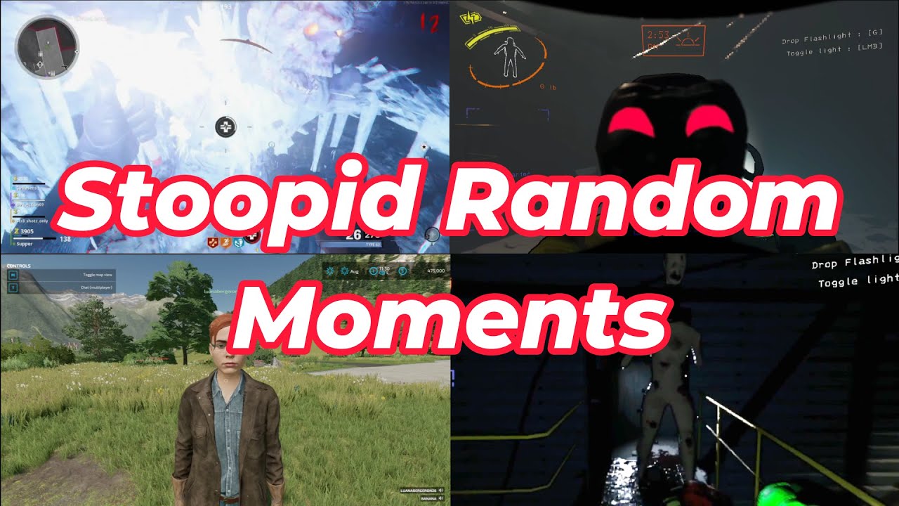 STOOPID RANDOM MOMENTS (Ft. MyFriends)
