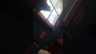 Kid Farts Loudly During A Video