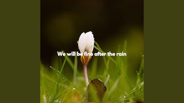 Dream Like Lazy Horizon