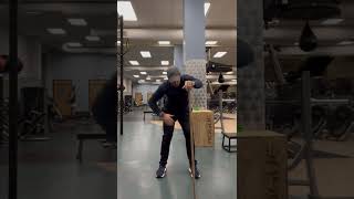 Bent over torso rotation with pole and reach through
