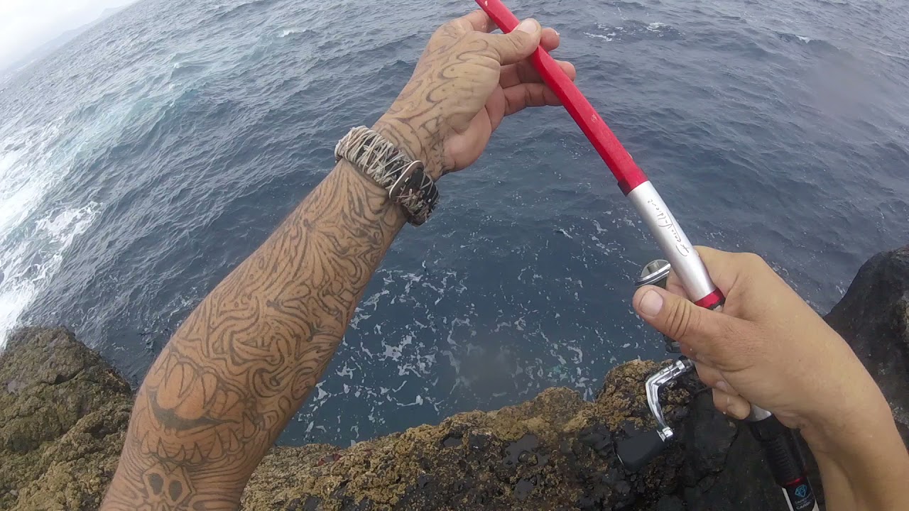 Para terminar con una pesca variada chopa perezosa🐟🐟🐟