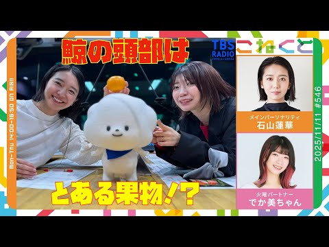 石山蓮華 和歌山旅行記】クジラの頭部はある果物の名前なのです！(石山