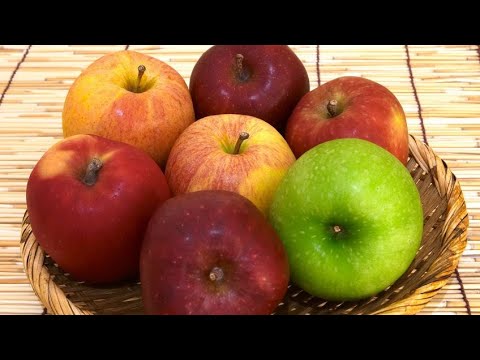 Video: Guía de manejo de peras después de la cosecha: cómo almacenar las peras después de recolectarlas