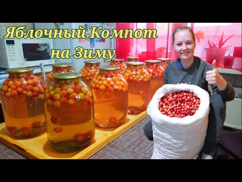 ЯБЛОЧНЫЙ КОМПОТ НА ЗИМУ.РАЙСКИЕ ЯБЛОЧКИ.САМЫЙ ПРОСТОЙ РЕЦЕПТ. #apple #compote #Одной_левой #Shorts