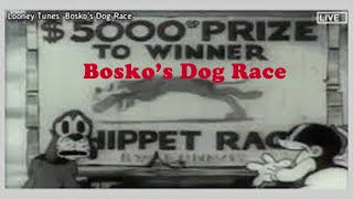 Bosko's Dog Race | Warner Bros. Classic Cartoon