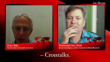 Information overload: your brain in the digital landscape