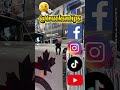 Kenworth | Tout est filmé et monté sur le terrain 🚛 | Trucks n Tips