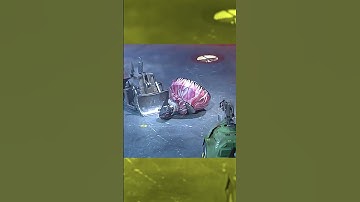 Shunt the Executioner